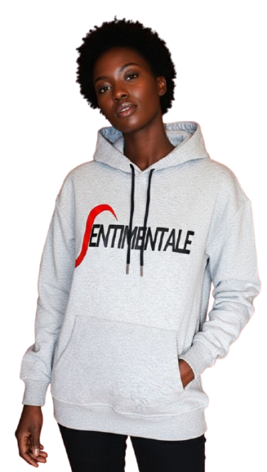 Pull a capuche gris