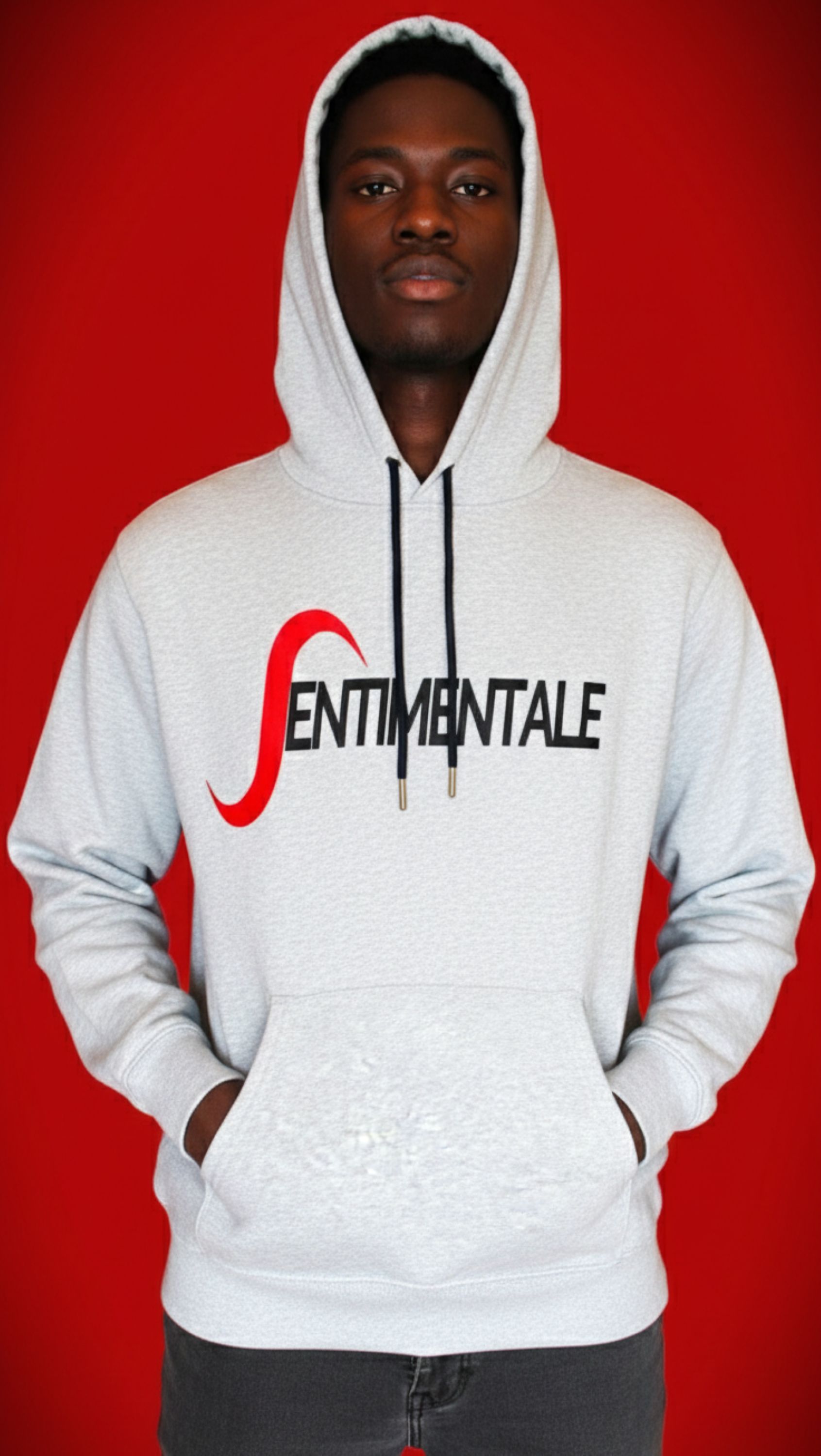 Pull à capuche gris